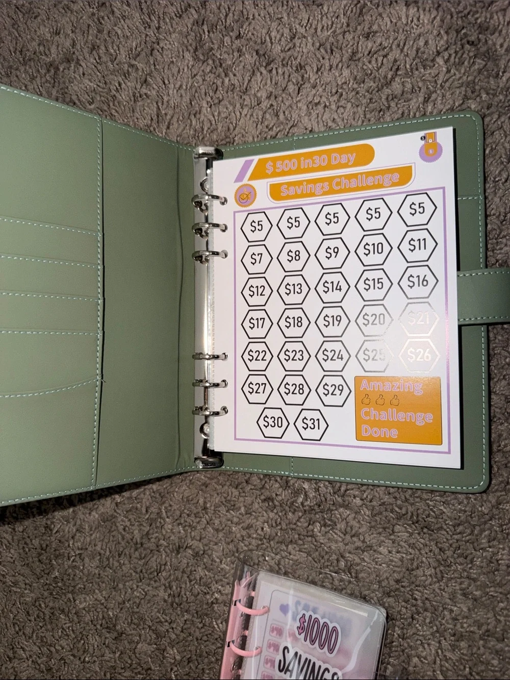 Amazon Green Money Saving Binder with Pink Mini Envelope Organizer